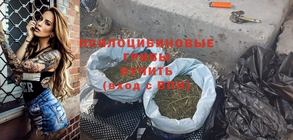 PSILOCYBIN Абдулино
