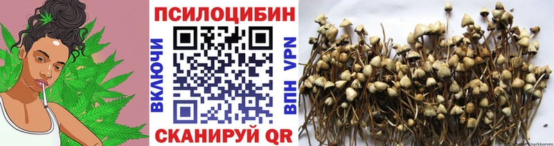 Галлюциногенные грибы Psilocybe  Шумерля 